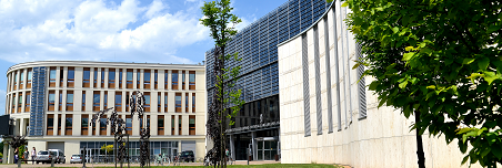 Organizacja kształcenia w semestrze zimowym roku akademickiego 2021/2022
